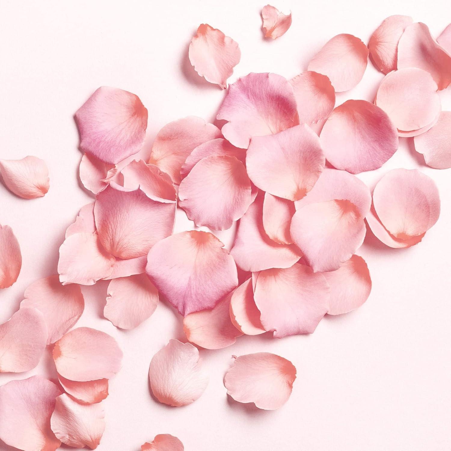 image:imageNativa SPA Orchid Lumire Scented Body Cream Firming amp Hydrating Lotion with Quinoa Oil 135 Ounce 400mlRose